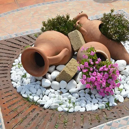 Отель La Palma 3*